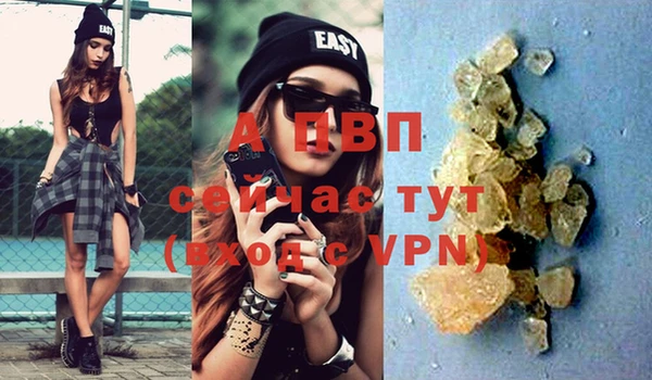 альфа пвп Медвежьегорск