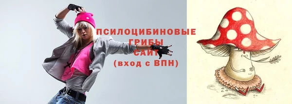 PSILOCYBIN Заволжье