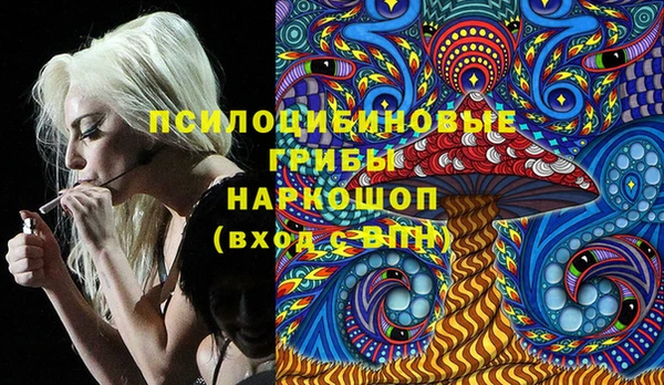 гашик Зеленокумск