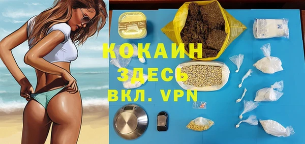 гашик Зеленокумск