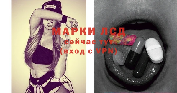гашик Зеленокумск