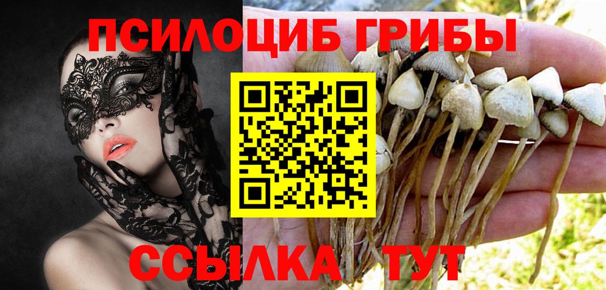 Галлюциногенные грибы Magic Shrooms  Вход с VPN  Тверь 