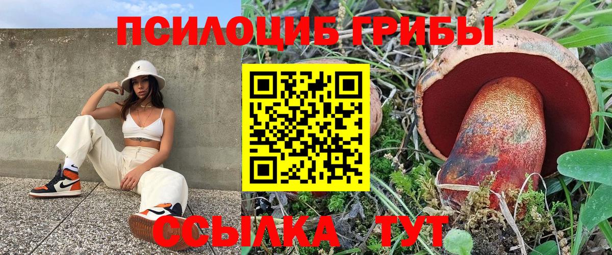 Псилоцибиновые грибы Psilocybine cubensis Тверь