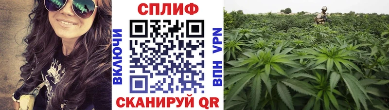 Конопля White Widow  Тверь 